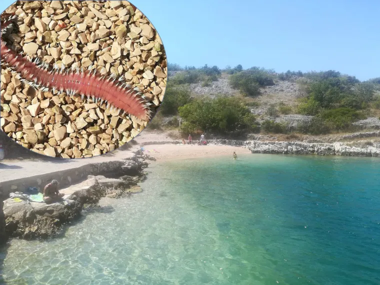 Opasni vatreni crvi potjerali kupače iz rogozničke uvale: 'Uspjela sam nekako izdržati bol'
