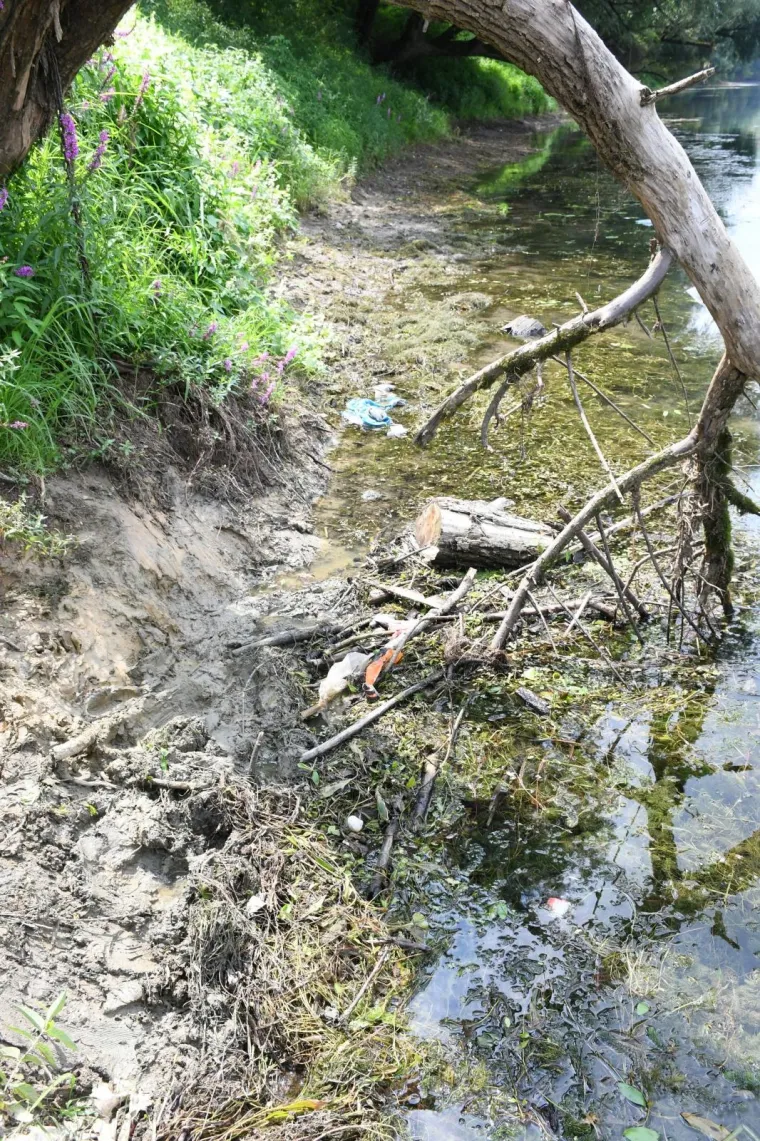Drama na Kupi: Policija iz tonućeg kombija izvukla 11 migranata, jedna žena preminula, vozač pobjegao