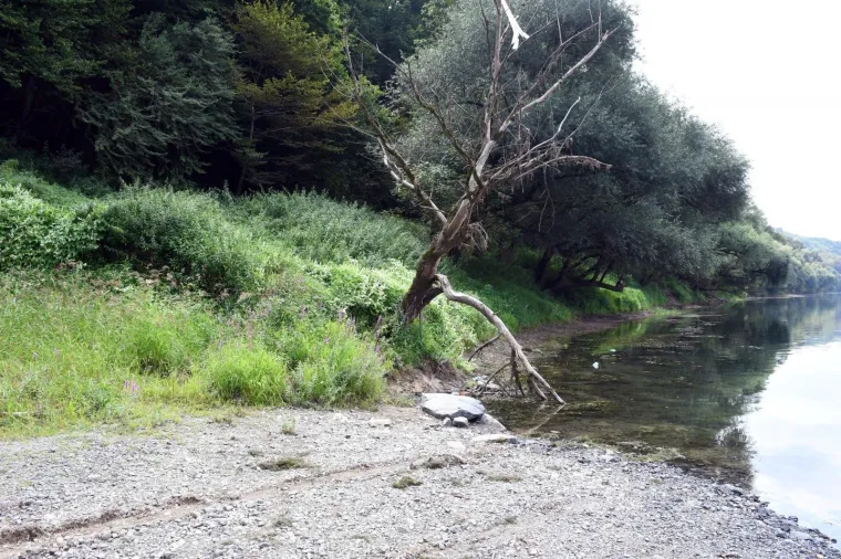 Drama na Kupi: Policija iz tonućeg kombija izvukla 11 migranata, jedna žena preminula, vozač pobjegao