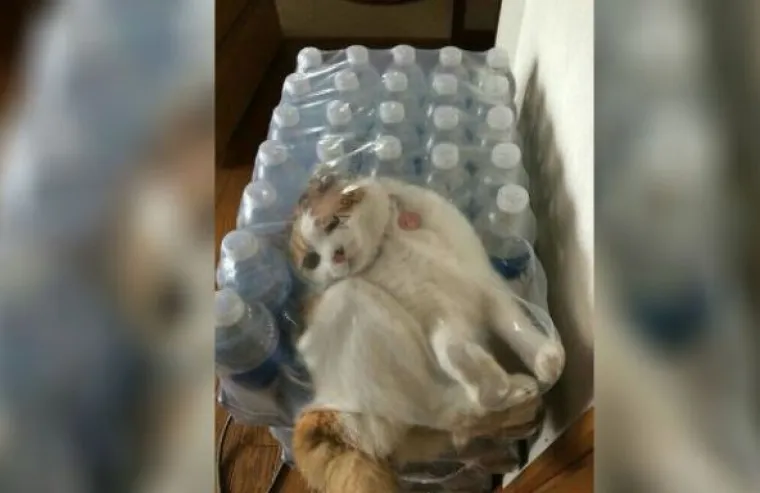 Bile djelo Photoshopa ili ne, ove fotografije jednostavno traže obja&scaron;njenje