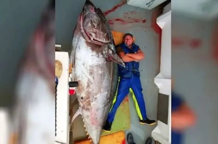 Bile djelo Photoshopa ili ne, ove fotografije jednostavno traže obja&scaron;njenje