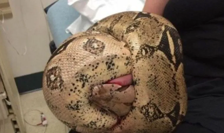 Bile djelo Photoshopa ili ne, ove fotografije jednostavno traže obja&scaron;njenje