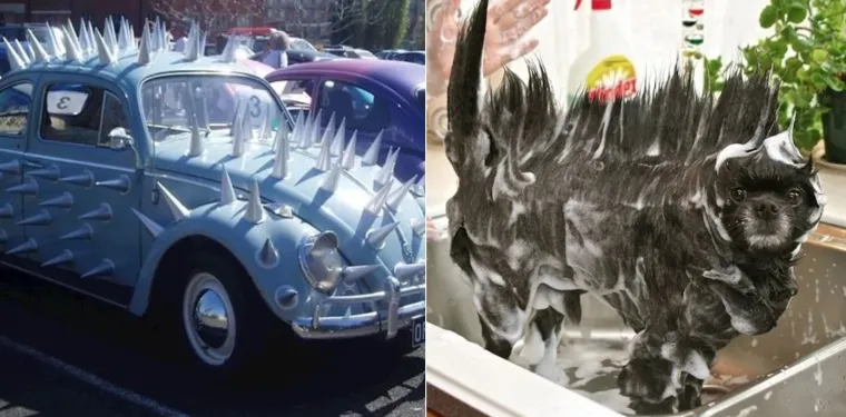 Vjerujte nam na riječ, ovo su najzanimljivije i najčudnije fotografije koje ćete danas vidjeti