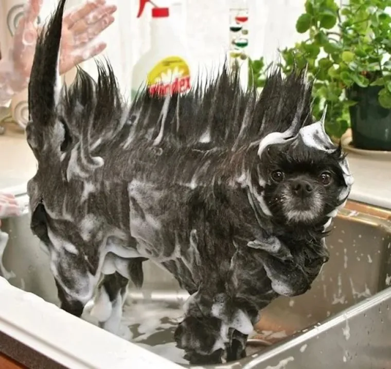 Vjerujte nam na riječ, ovo su najzanimljivije i najčudnije fotografije koje ćete danas vidjeti