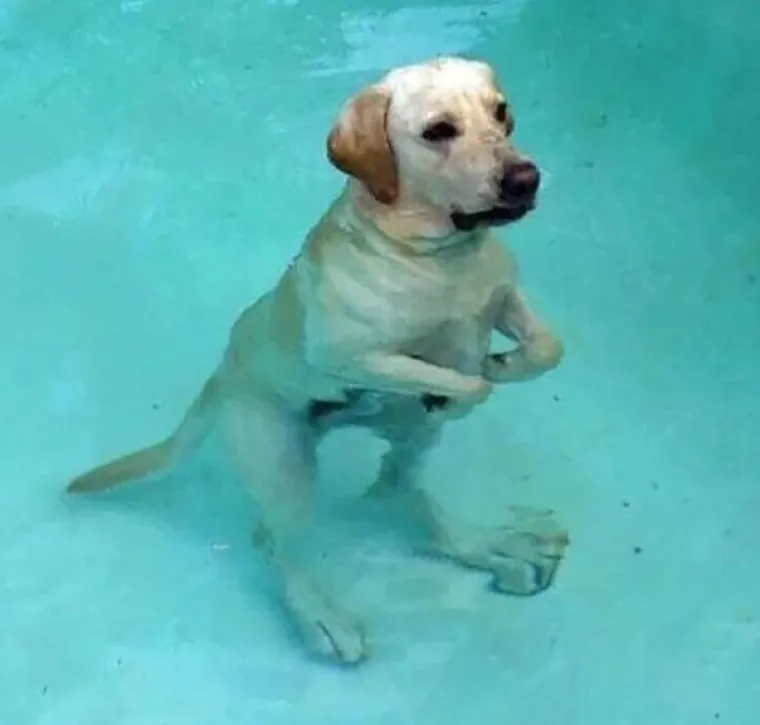 Vjerujte nam na riječ, ovo su najzanimljivije i najčudnije fotografije koje ćete danas vidjeti