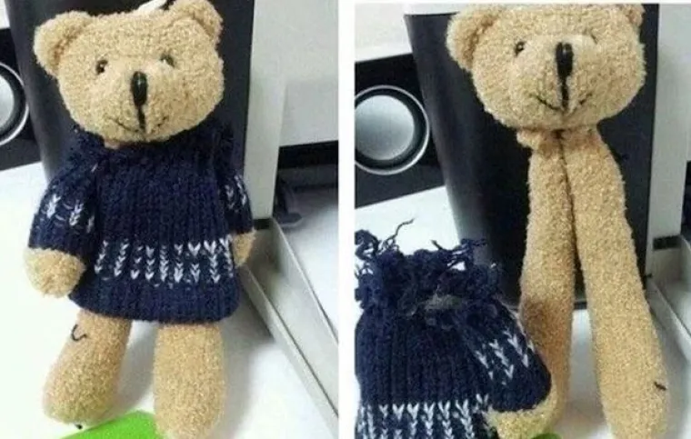 Vjerujte nam na riječ, ovo su najzanimljivije i najčudnije fotografije koje ćete danas vidjeti