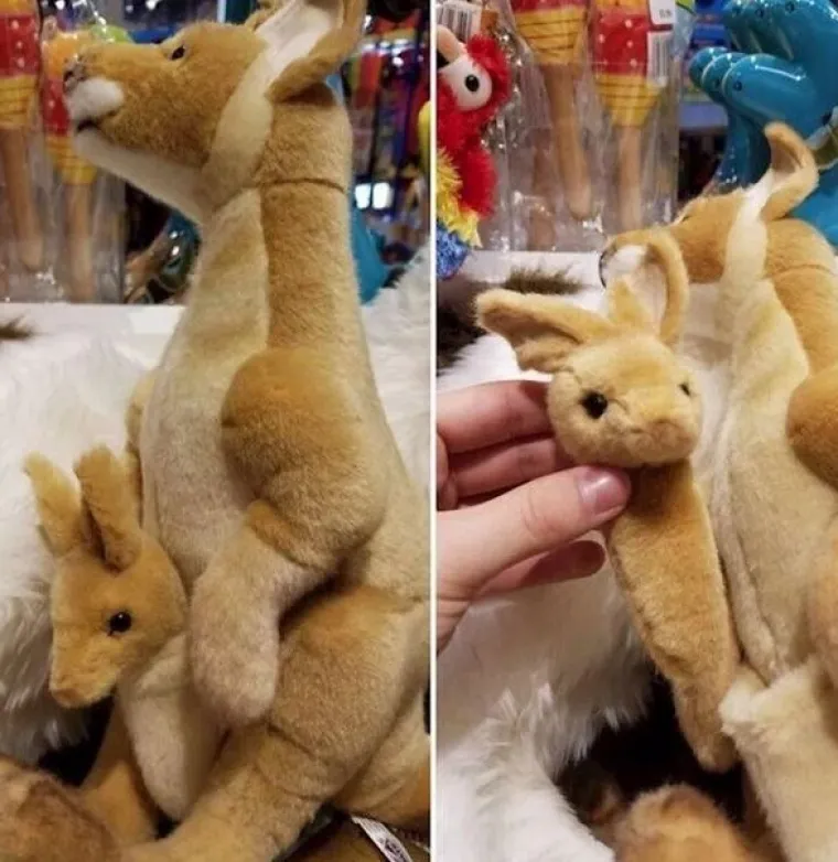 Vjerujte nam na riječ, ovo su najzanimljivije i najčudnije fotografije koje ćete danas vidjeti