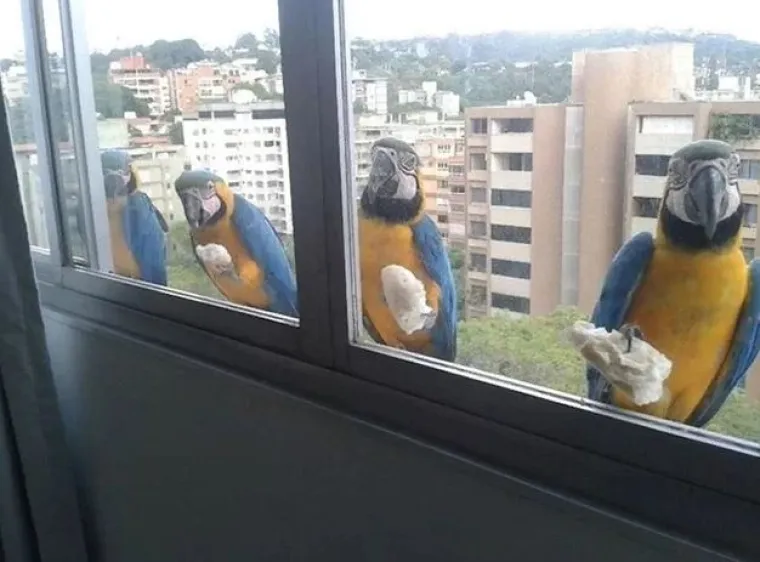 Vjerujte nam na riječ, ovo su najzanimljivije i najčudnije fotografije koje ćete danas vidjeti