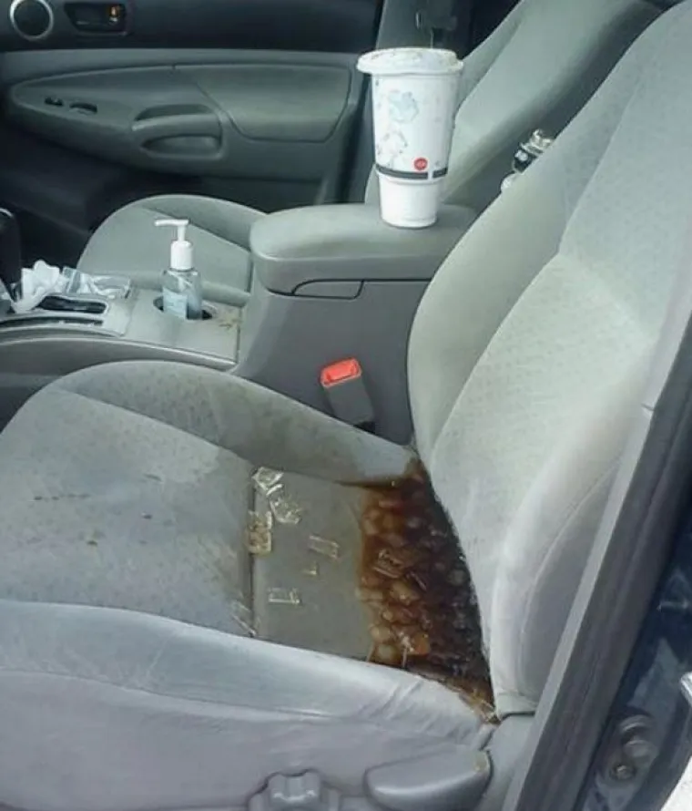 Oni imaju gori dan od vas: 15 fotografija koje su dokaz da je nekad bolje ostati u krevetu