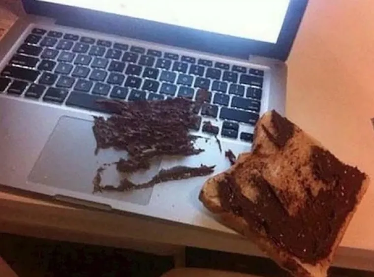 Oni imaju gori dan od vas: 15 fotografija koje su dokaz da je nekad bolje ostati u krevetu