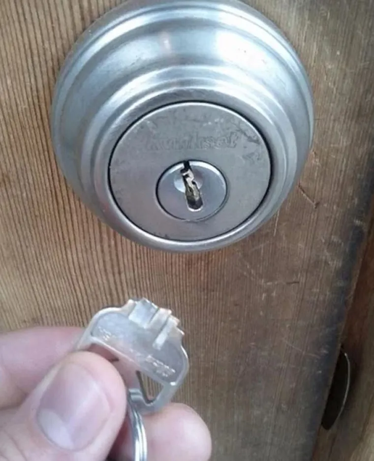 Oni imaju gori dan od vas: 15 fotografija koje su dokaz da je nekad bolje ostati u krevetu