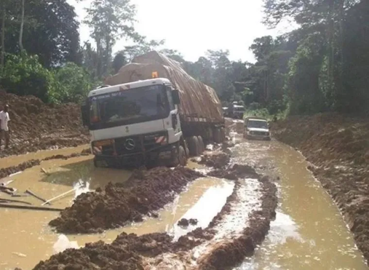 Oni imaju gori dan od vas: 15 fotografija koje su dokaz da je nekad bolje ostati u krevetu