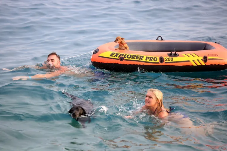 '&Scaron;apasti&rsquo; sportski izazov u Crikvenici: Plivačko natjecanje četveronožaca i njihovih dvonožaca