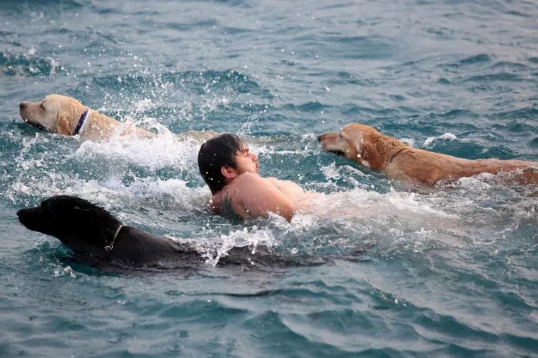 '&Scaron;apasti&rsquo; sportski izazov u Crikvenici: Plivačko natjecanje četveronožaca i njihovih dvonožaca