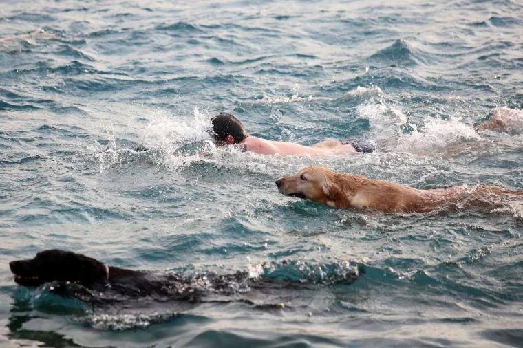 '&Scaron;apasti&rsquo; sportski izazov u Crikvenici: Plivačko natjecanje četveronožaca i njihovih dvonožaca