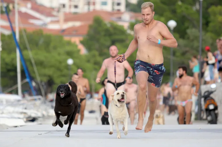 '&Scaron;apasti&rsquo; sportski izazov u Crikvenici: Plivačko natjecanje četveronožaca i njihovih dvonožaca