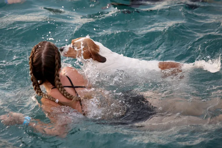 '&Scaron;apasti&rsquo; sportski izazov u Crikvenici: Plivačko natjecanje četveronožaca i njihovih dvonožaca