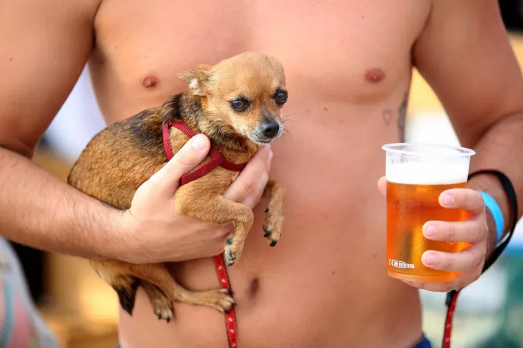 '&Scaron;apasti&rsquo; sportski izazov u Crikvenici: Plivačko natjecanje četveronožaca i njihovih dvonožaca