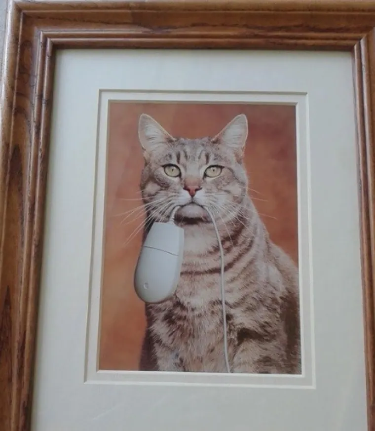 Jesu li ovo najbizarnije i najnepotrebnije stvari koje možete već danas kupiti na internetu?