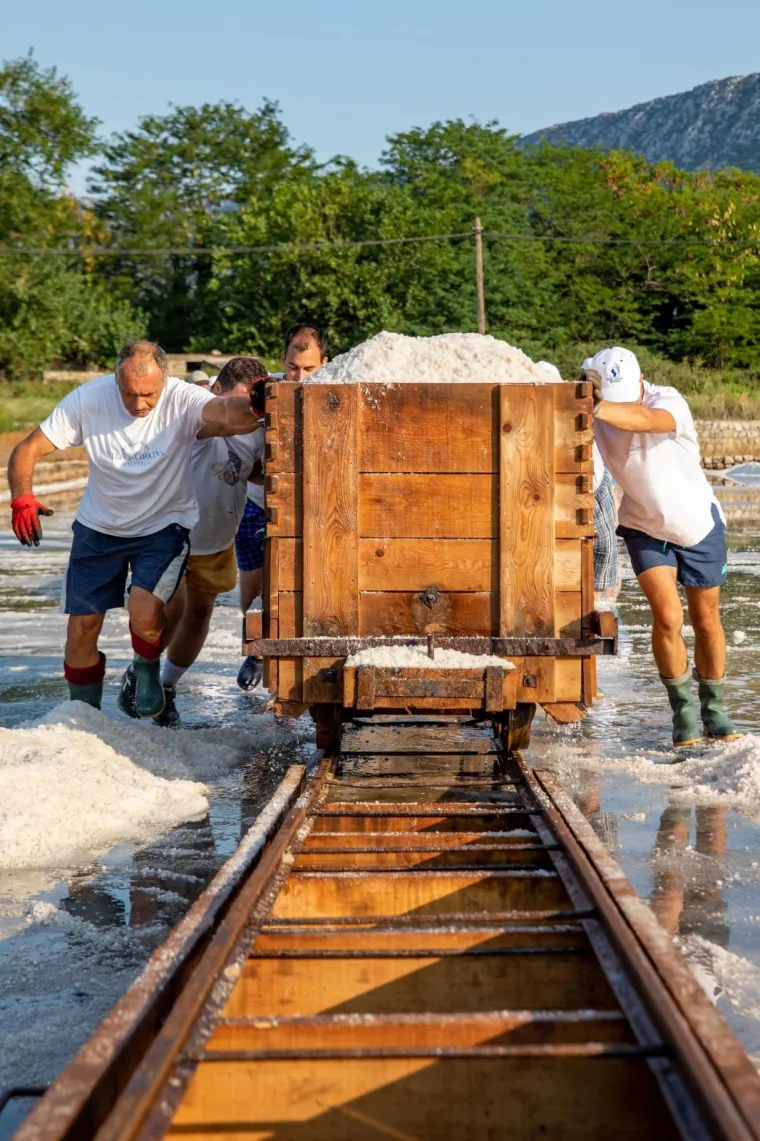 Tradicija stara 4000 godina: Počela berba soli u najstarijoj hrvatskoj, ali i europskoj solani