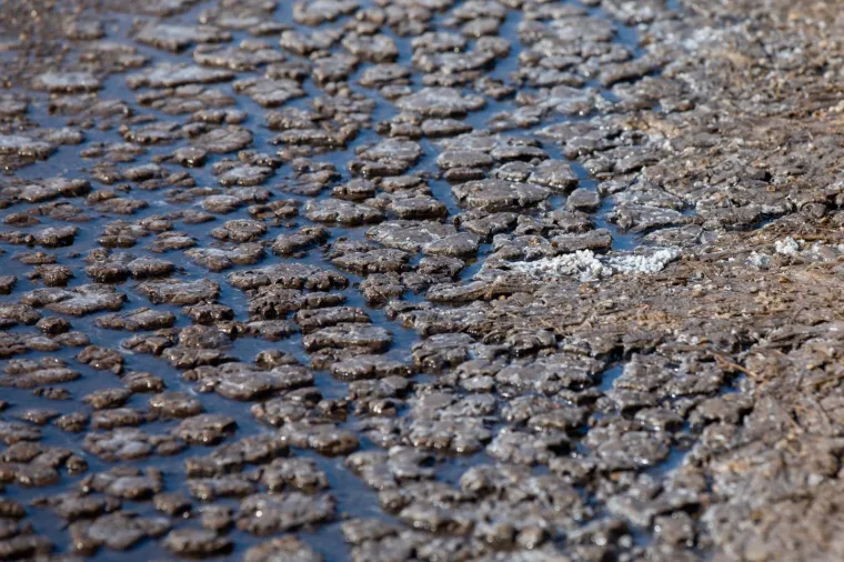 Tradicija stara 4000 godina: Počela berba soli u najstarijoj hrvatskoj, ali i europskoj solani