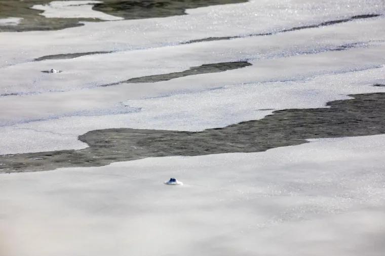 Tradicija stara 4000 godina: Počela berba soli u najstarijoj hrvatskoj, ali i europskoj solani