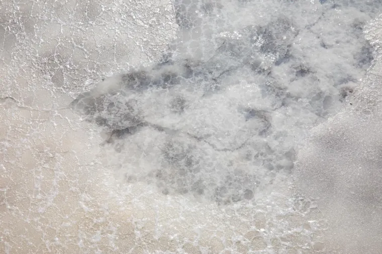 Tradicija stara 4000 godina: Počela berba soli u najstarijoj hrvatskoj, ali i europskoj solani