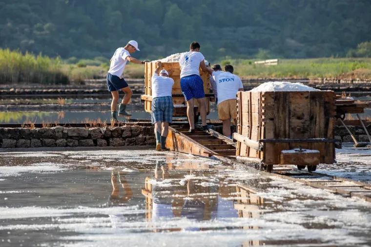 Tradicija stara 4000 godina: Počela berba soli u najstarijoj hrvatskoj, ali i europskoj solani
