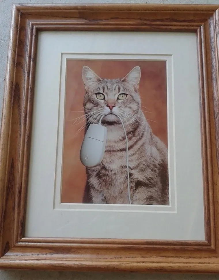 OVO SU NAJBIZARNIJE STVARI KOJE SE PRODAJU NA INTERNETU: Od većine njih imat ćete traumatične noćne more