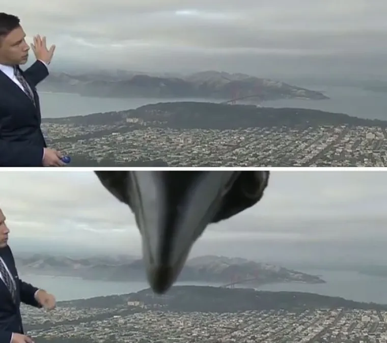 Nisu uvijek slatke: 25 fotografija koje dokazuju da i ptice imaju 'tamnu stranu'