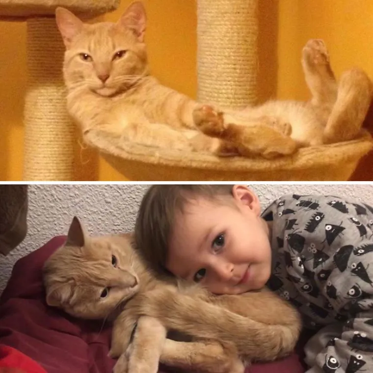 Koliko se život promijeni nakon &scaron;to ima&scaron; djecu? Ako je suditi po ovim fotografijama; previ&scaron;e