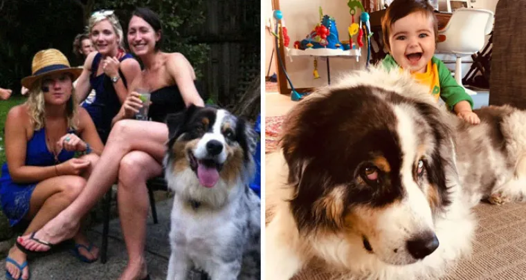 Koliko se život promijeni nakon &scaron;to ima&scaron; djecu? Ako je suditi po ovim fotografijama; previ&scaron;e