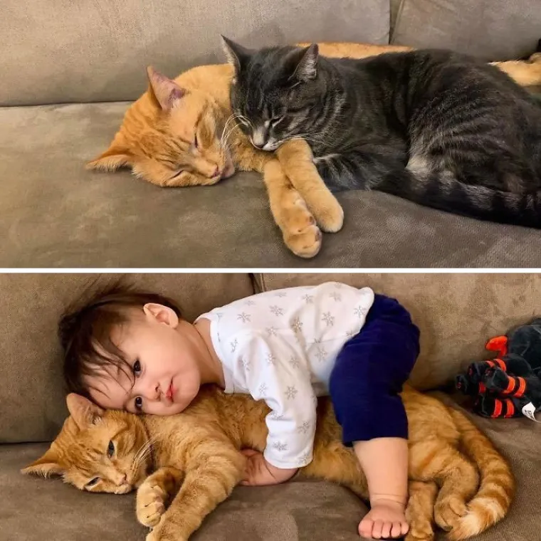 I ONI SU JEDNOM BILI BEZ OBAVEZA: Roditelji pokazali kako zapravo izgleda njihov život s djecom