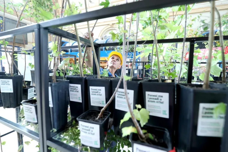 Na Na zagrebačkom Glavnom kolodvoru organizirana akcija 'Plant for future'