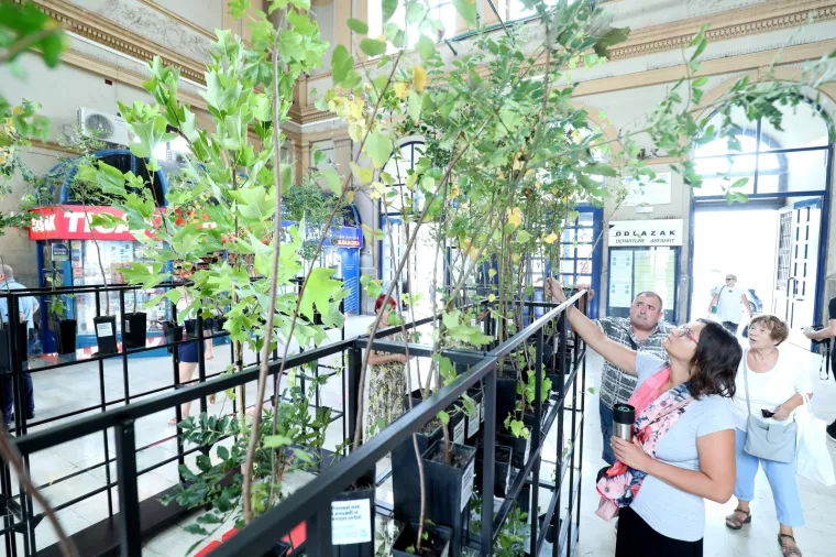 Na Na zagrebačkom Glavnom kolodvoru organizirana akcija 'Plant for future'