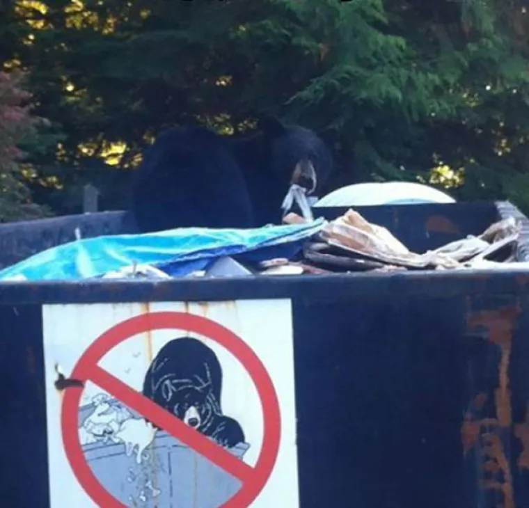 Punk nije mrtav: Ovi moderni anarhisti su hrabro pokazali otpor prema pravilima