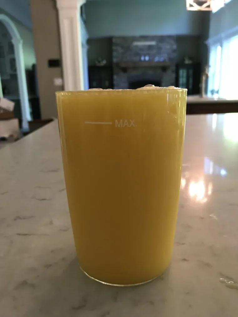 Punk nije mrtav: Ovi moderni anarhisti su hrabro pokazali otpor prema pravilima