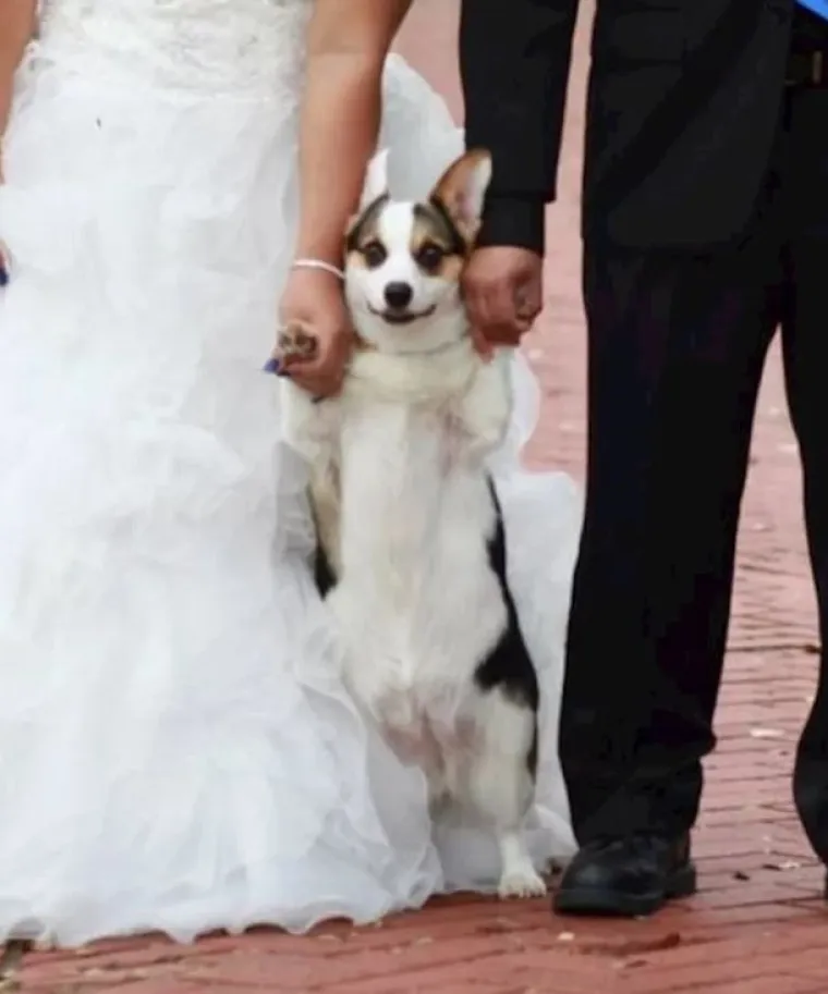 Detalje s ovih svadba neće moći zaboraviti ni uzvanici, ni mladenci