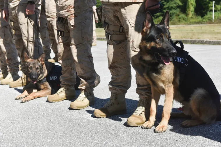 Ispraćen 11. hrvatski kontingent u Afganistan: Odali počast poginulom kolegi