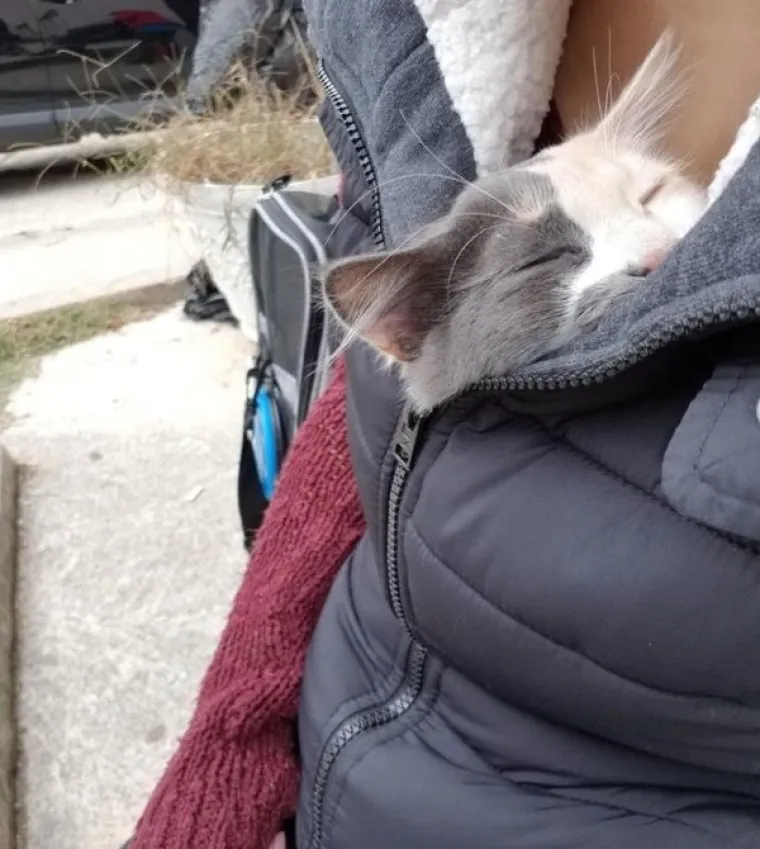 KADA IMA&Scaron; LJUBIMCA ŽIVOT VI&Scaron;E NIJE ISTI: Oni znaju kako razveseliti svoje čupavce