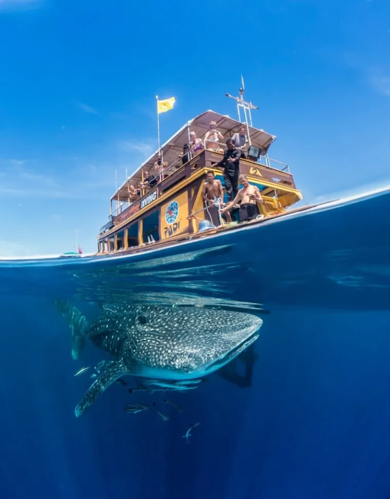 HTJELI OBIČNU FOTKU, DOBILI REMEK-DJELO: Ne, ove kadrove nitko živ nije mogao isplanirati