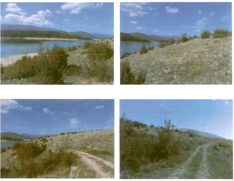 kategorije zemlji&scaron;ta