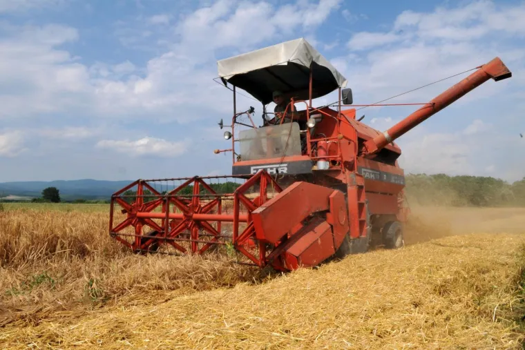 Cijene kruha u EU: Gdje je najjeftiniji, gdje najskuplji i kako stoji Hrvatska?