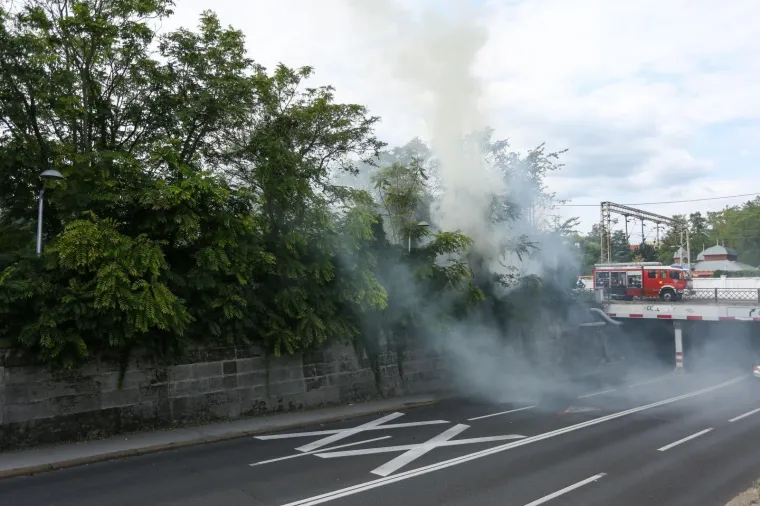 Dramatične scene iz centra Zagreba: Zapalio se otpad kod Botaničkog vrta!