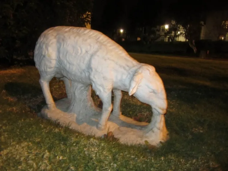 INTERNET JE NAJBIZARNIJE I NAJBLESAVIJE MJESTO NA KOJEM MOŽETE BORAVITI: Ovo su najbolji razlozi zašto