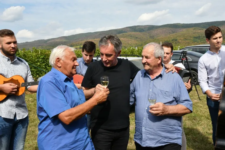 Kampanja u vinogradu: Miroslav &Scaron;koro organizirao berbu grožđa pa pozvao novinare