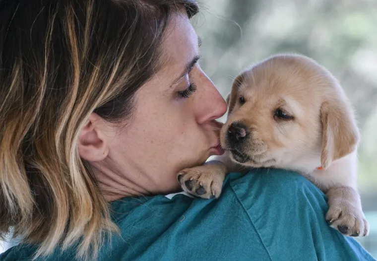 Sad su tek bebe, ali pred njima je važna zadaća: Ovi neodoljivi slatki&scaron;i olak&scaron;at će nečiji život