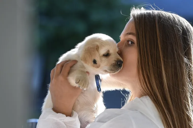 Sad su tek bebe, ali pred njima je važna zadaća: Ovi neodoljivi slatki&scaron;i olak&scaron;at će nečiji život