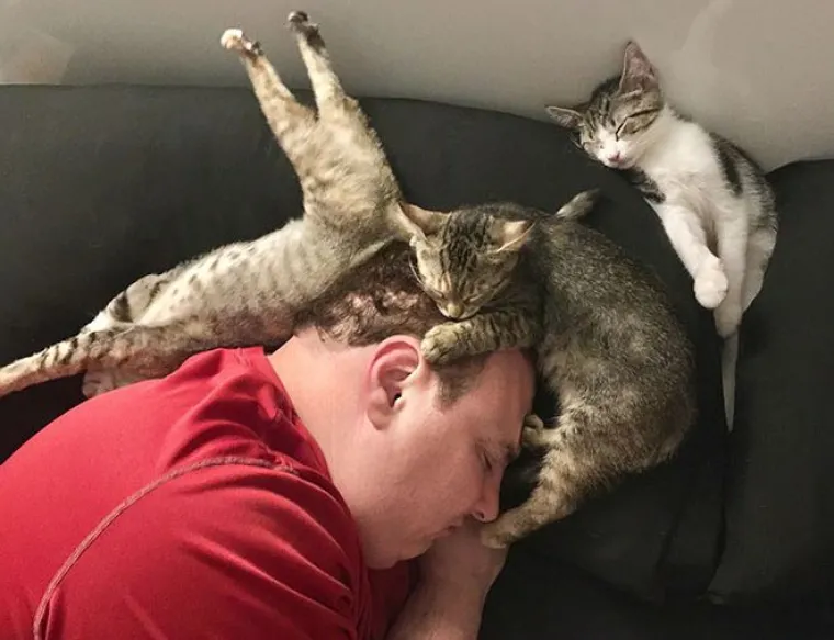 Umor ne pita: Oni su zaspali na najgorim mjestima i u jo&scaron; čudnijim pozicijama