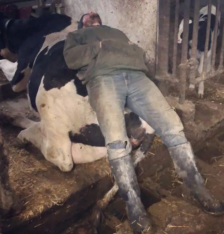 Umor ne pita: Oni su zaspali na najgorim mjestima i u jo&scaron; čudnijim pozicijama